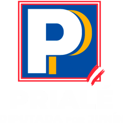 Anjhela Prialé diputada por Junín 2025